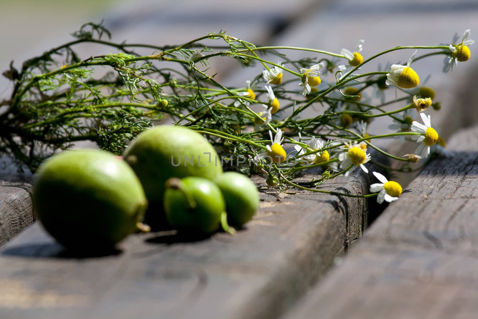 Chamomile and walnuts over a table