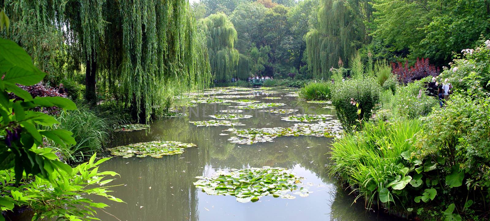 Claude Monet's gardens in Giverny, France by stefanoventuri