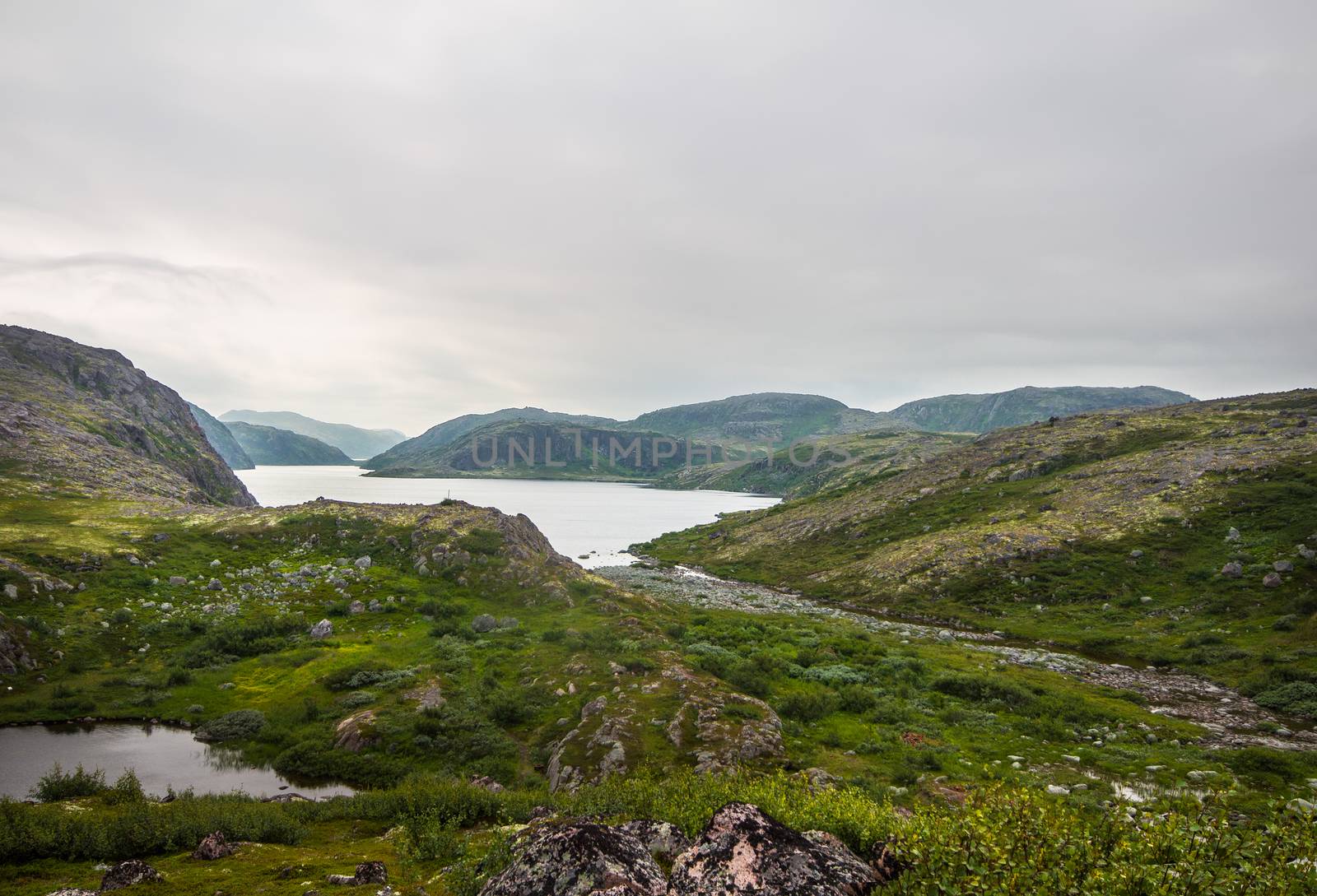 hills near the Barents Sea