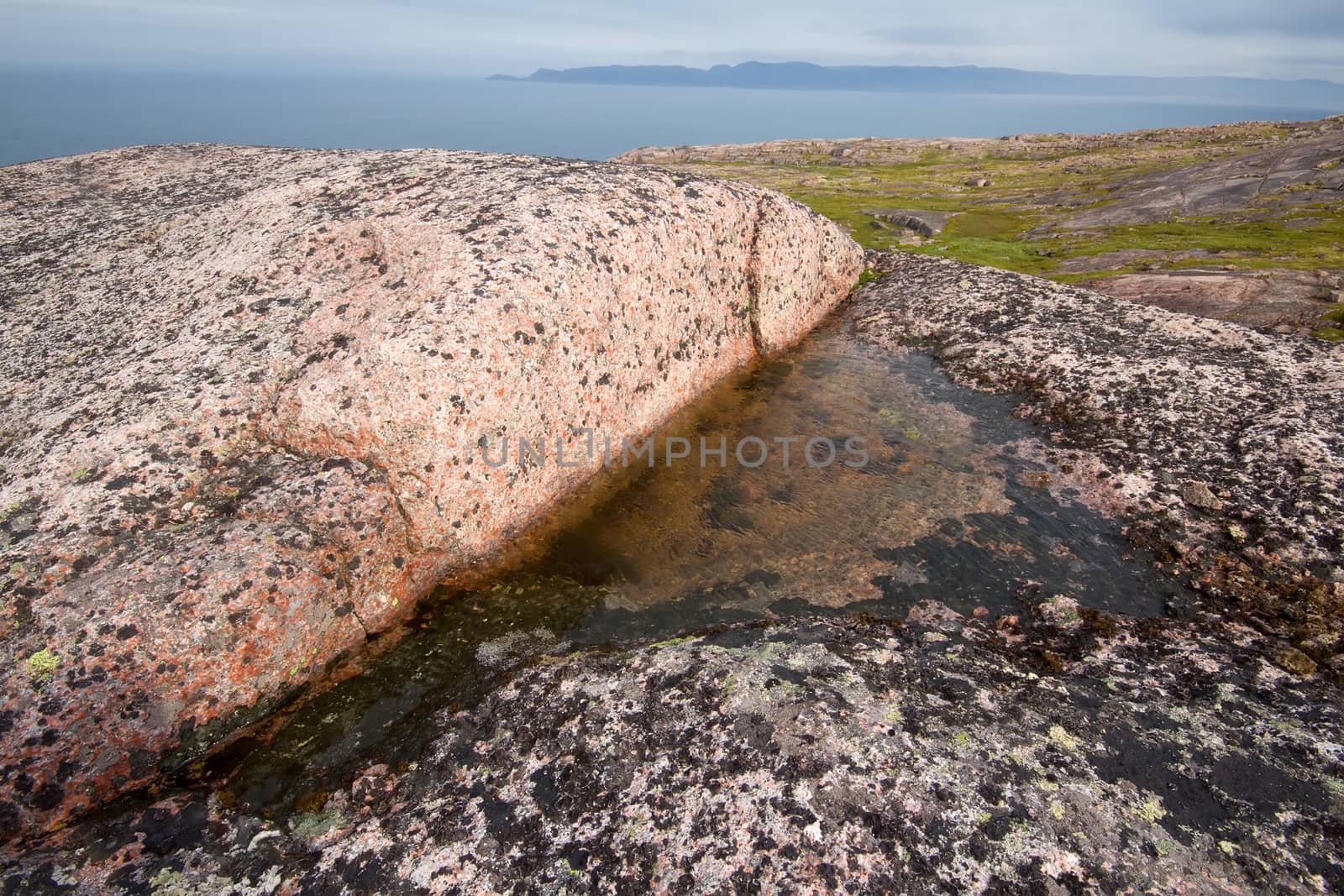 reserve of fresh water in  opening of rock