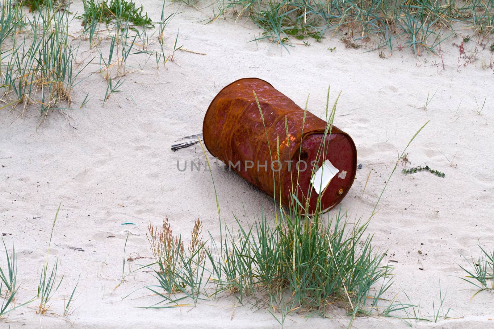 garbage  a barrel among the wild nature