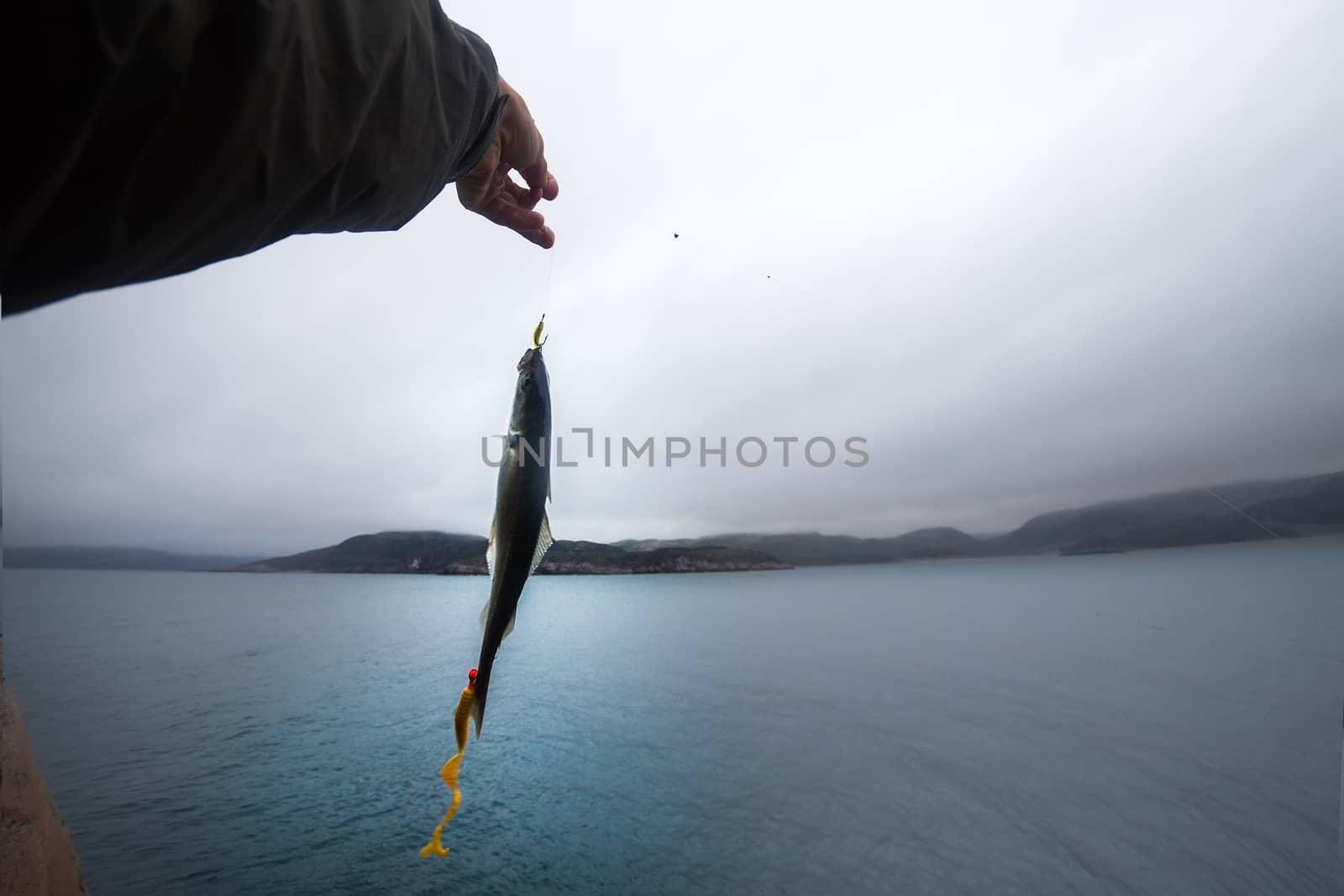 fishing in a polar region at sea from rocks