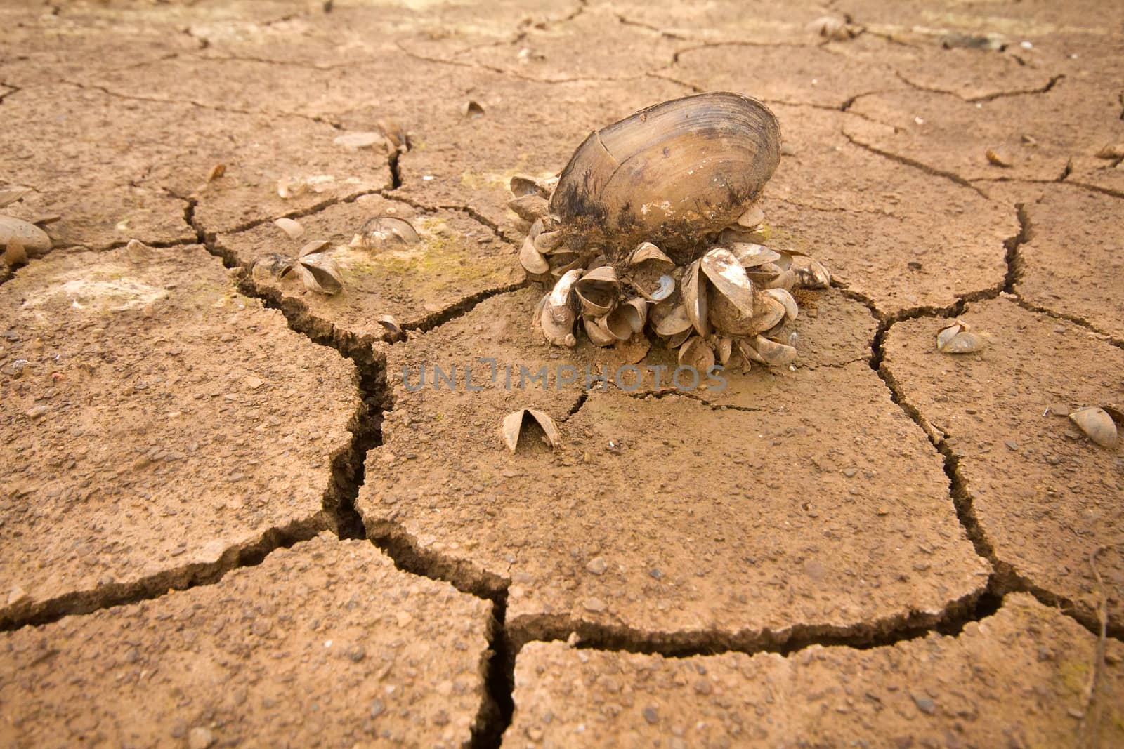 sea dried up and everything receded died