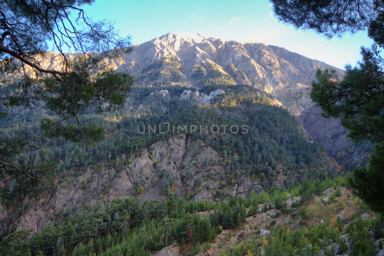 soothing mountain summer wonderful view by max51288