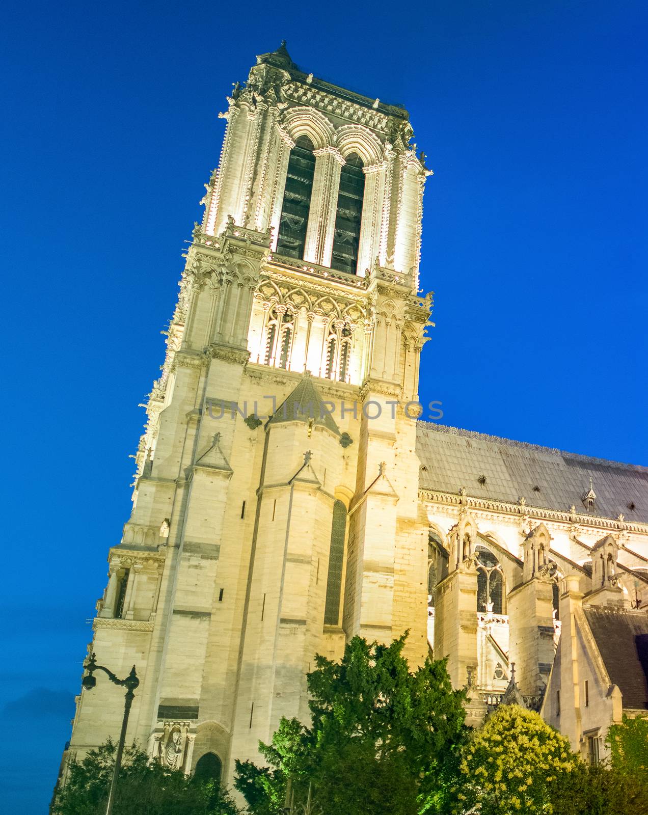 Notre Dame at night, side view, Paris.