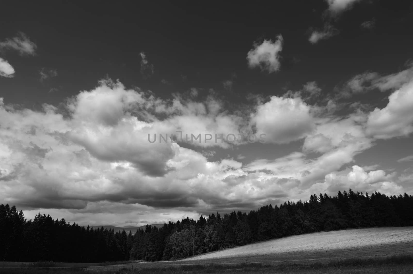 landscape with dramatic sky