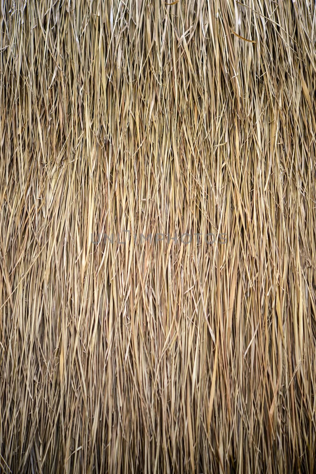thatch roof background