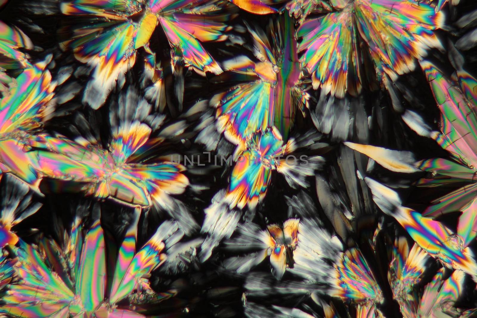 Malic acid under the microscope (magnification 80x and polarized light).