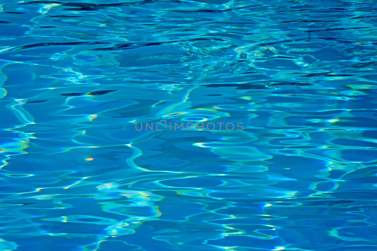 Fragment have been added at the bottom of the pool with water by georgina198
