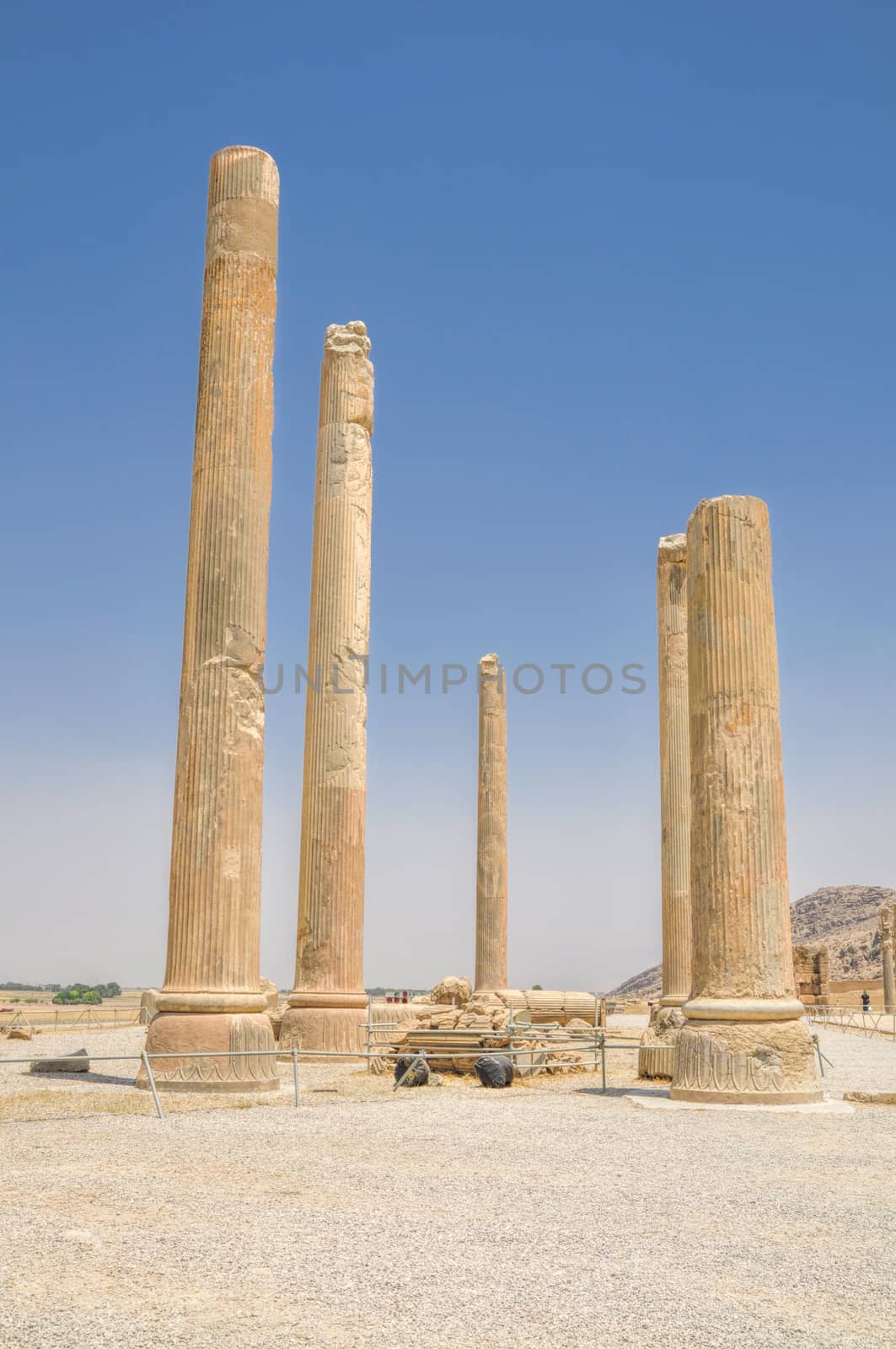Pillars in ancient persian capital Persepolis in current Iran