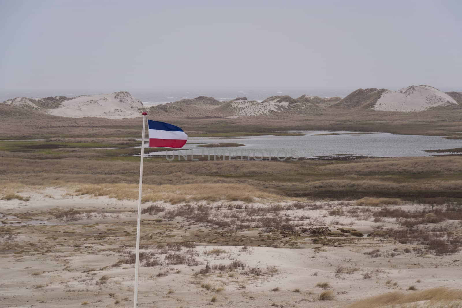 Dunes on the North Frisian Island Amrum in Germany