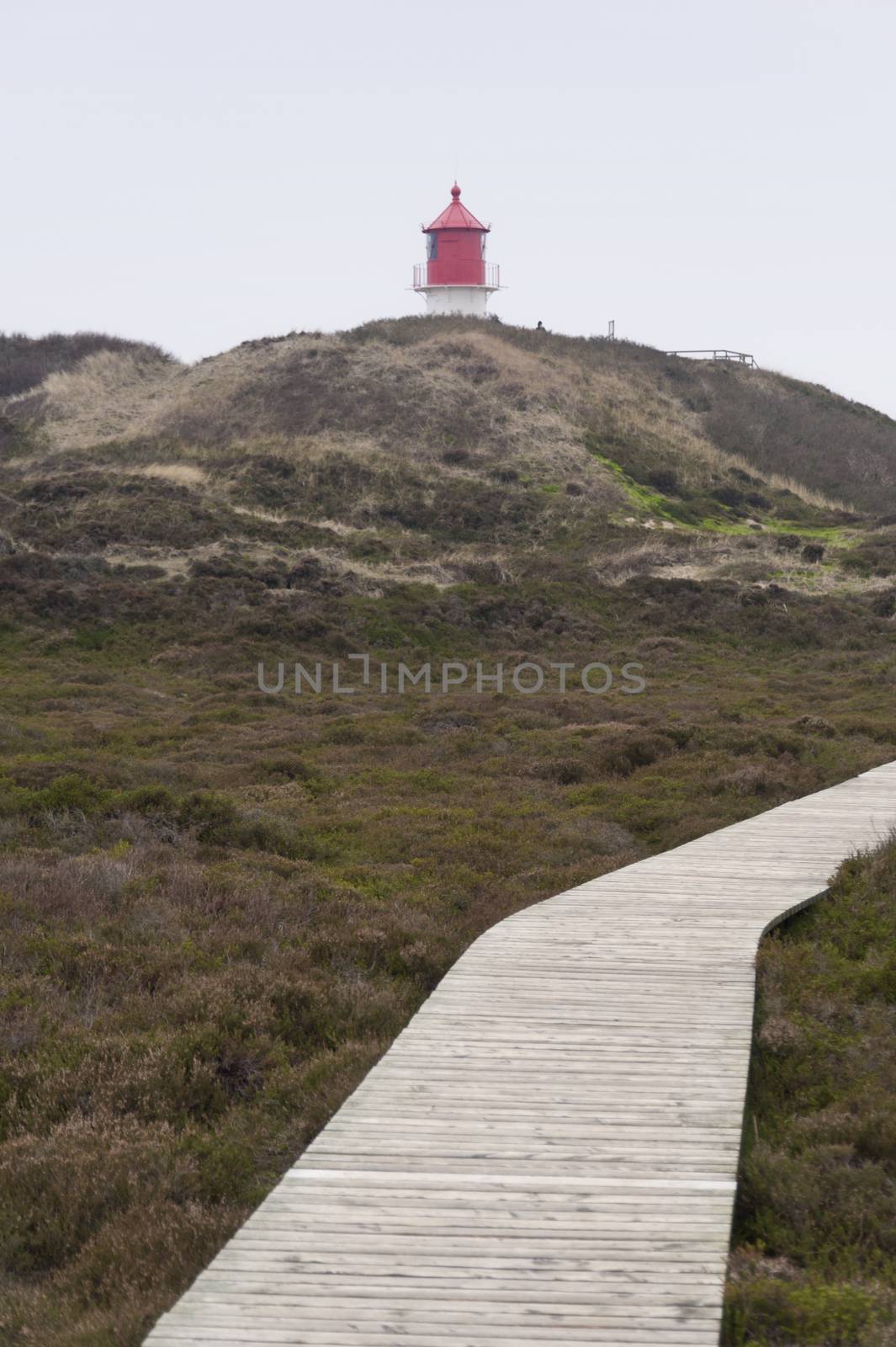 Lighthouse on Amrum