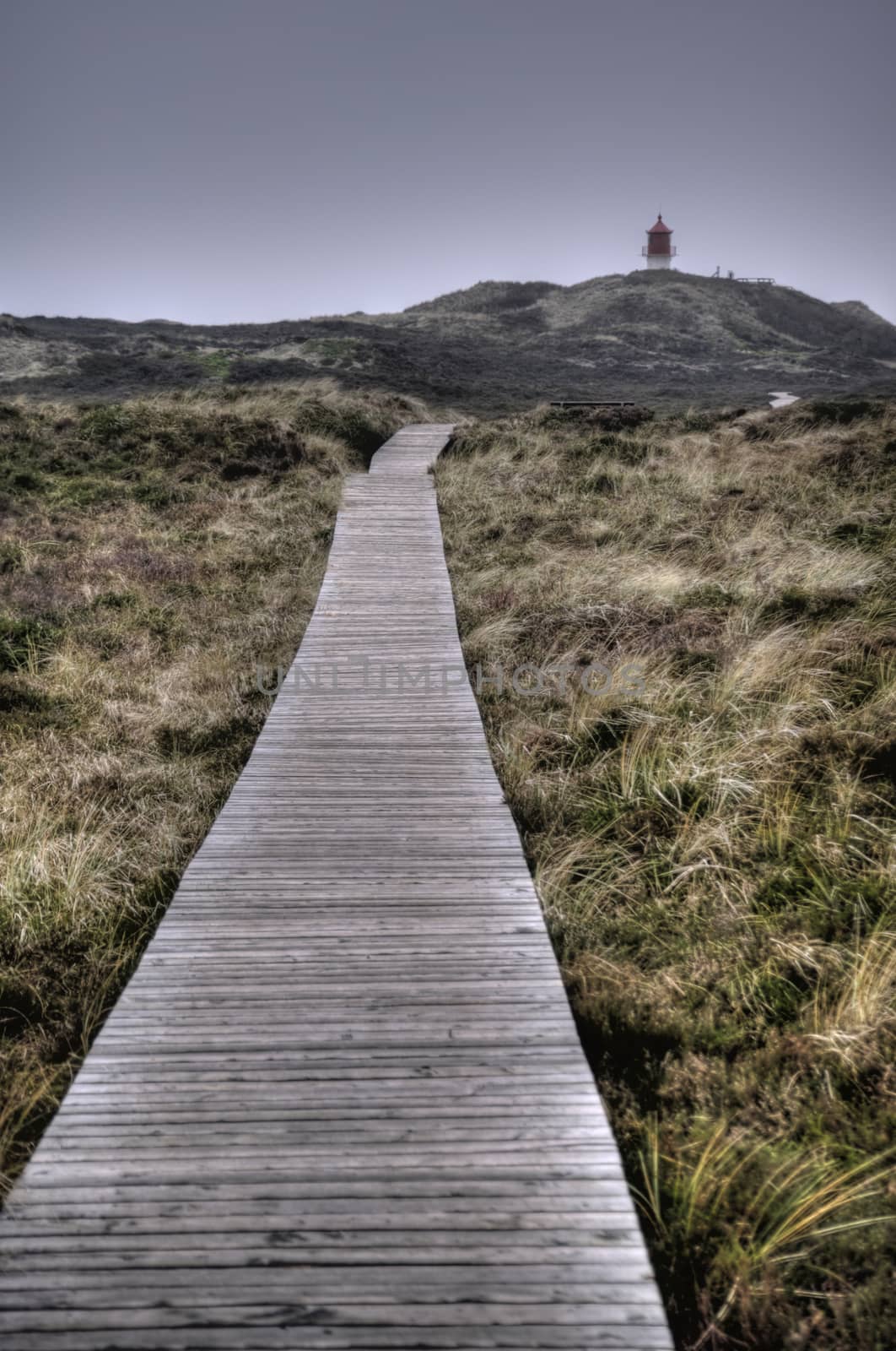 Lighthouse on North Frisian Island Amrum in Germany