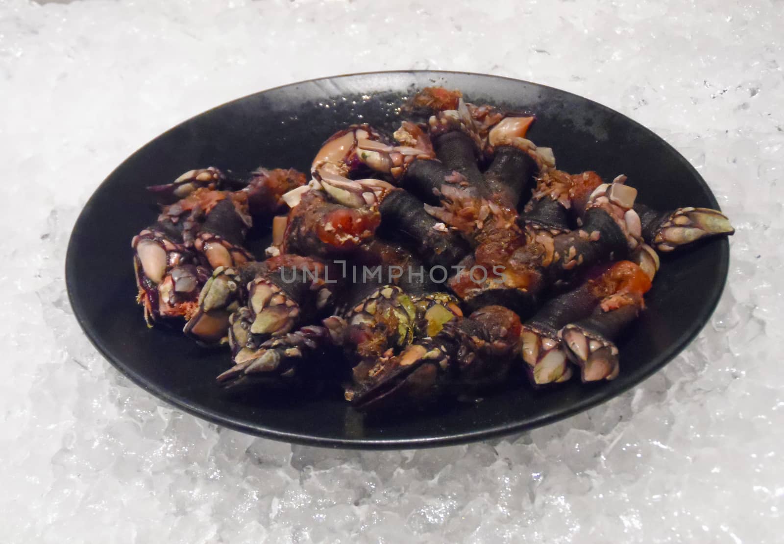 Plate of barnacles on ice.