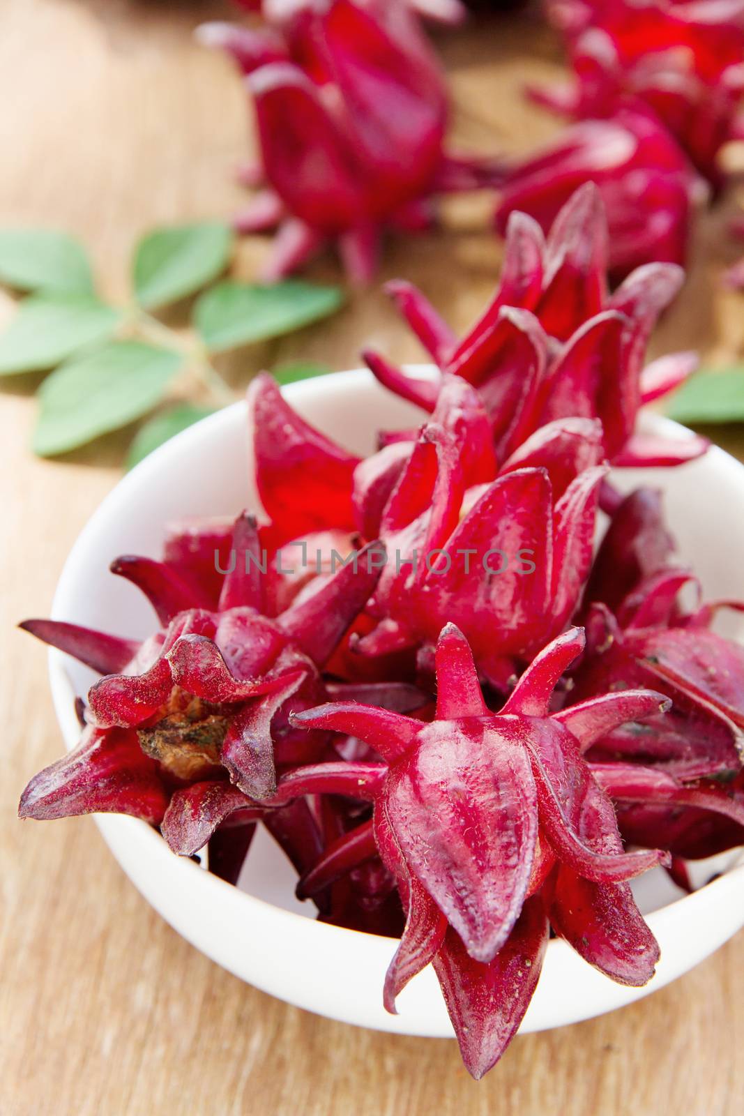 group of fresh roselle flower background.Roselle calyces are harvested fresh to produce pro-health drink.