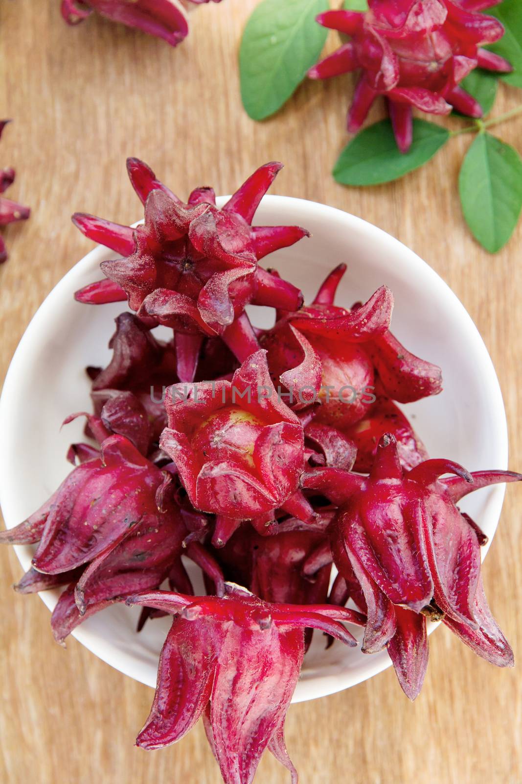 group of fresh roselle flower background.Roselle calyces are harvested fresh to produce pro-health drink.