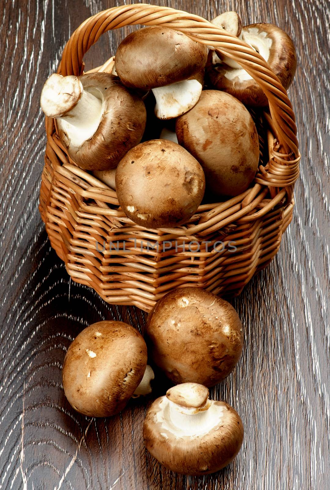 Fresh Raw Portabello Mushrooms in Wicker Basket closeup on Dark Wooden background