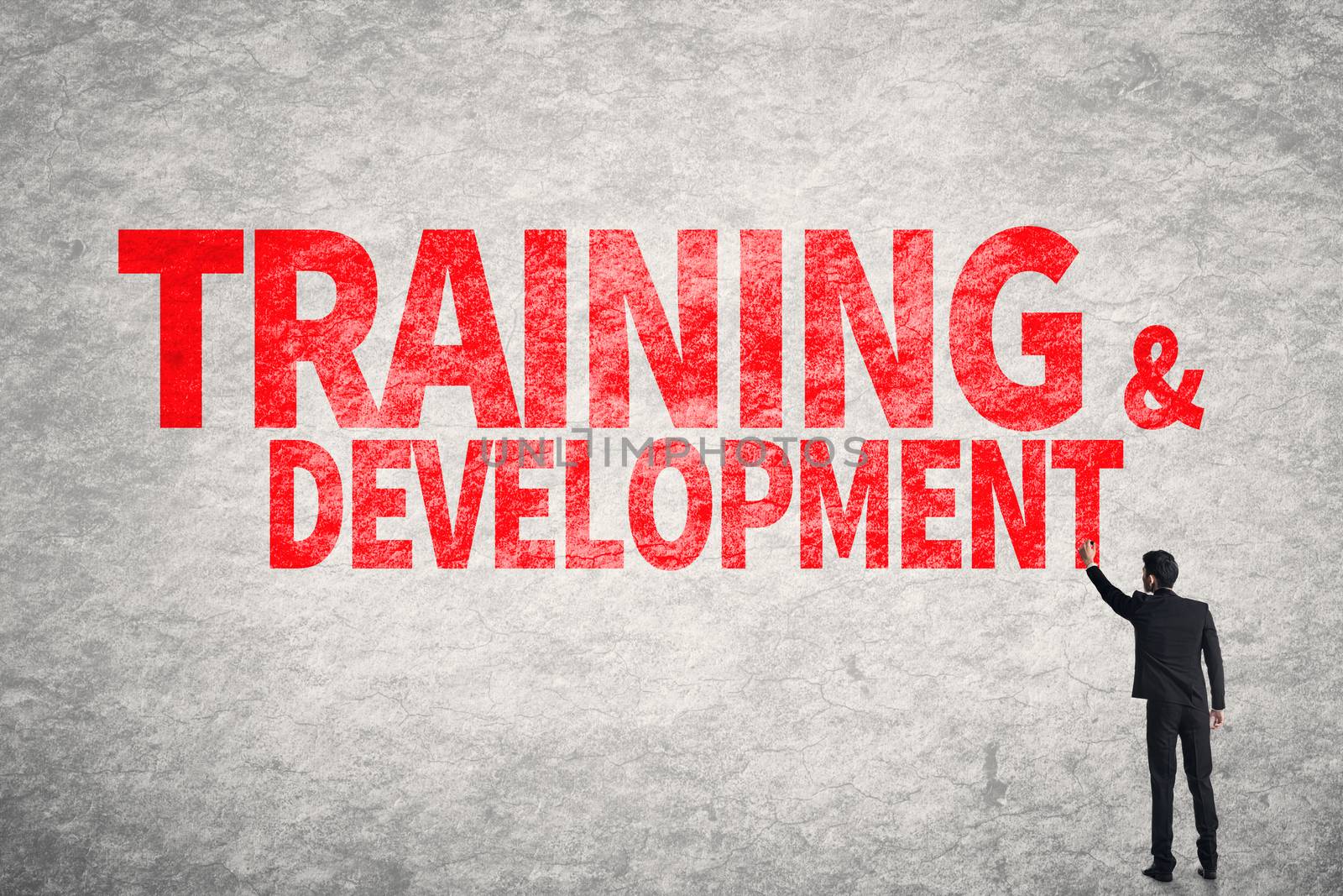 Training & Development by elwynn