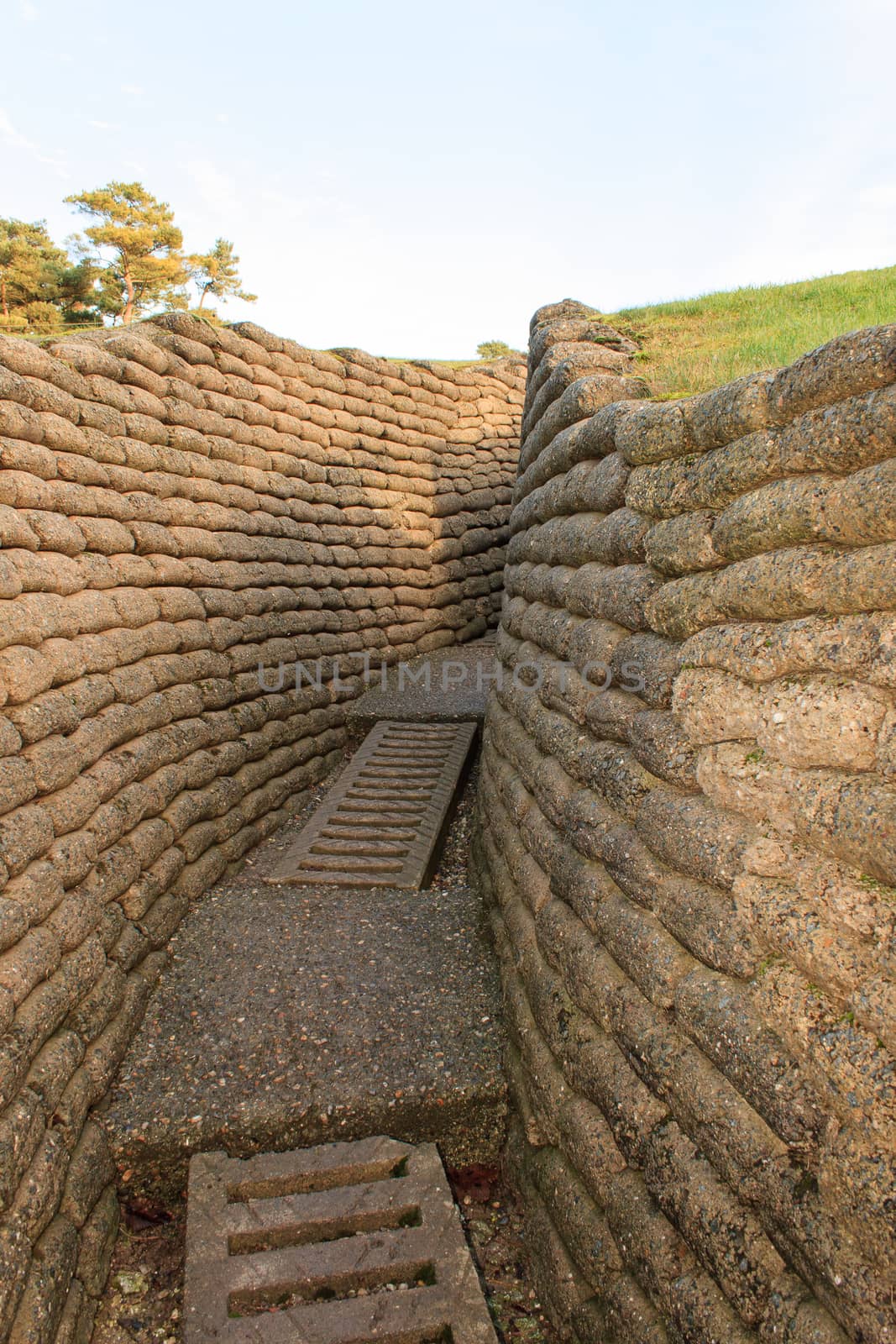 the trenches of the battlefield at Vimy France