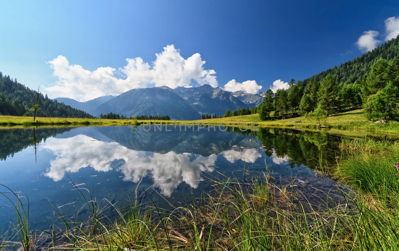 summer view of Covel lake in Pejo Valley, Trentino, Italy