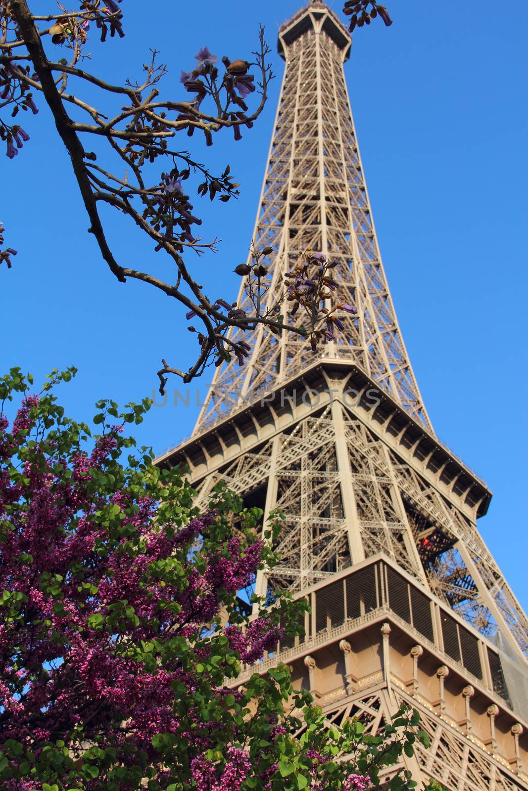 View on The Eiffel Tower in Paris, France