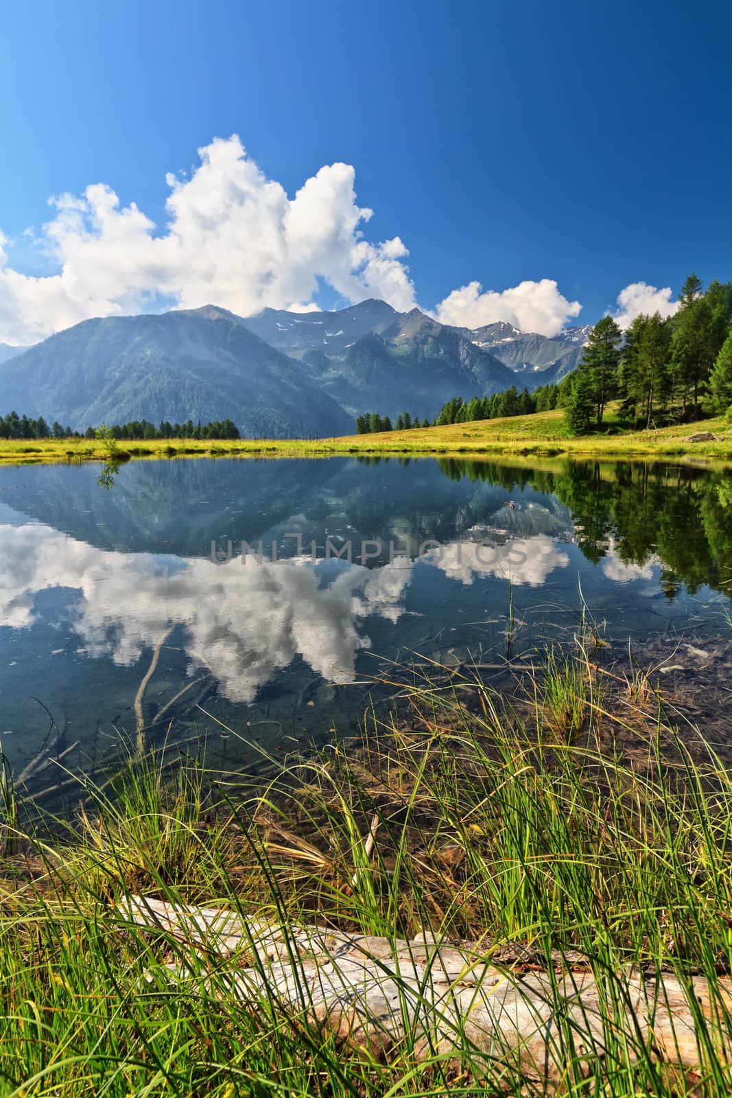 summer view of Covel lake in Pejo Valley, Trentino, Italy