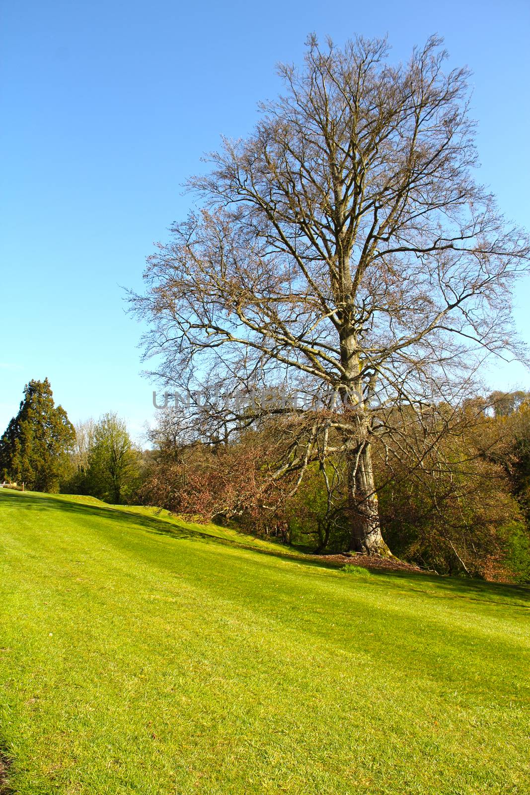 Beautiful landscape of golf course in Saint Saens, France