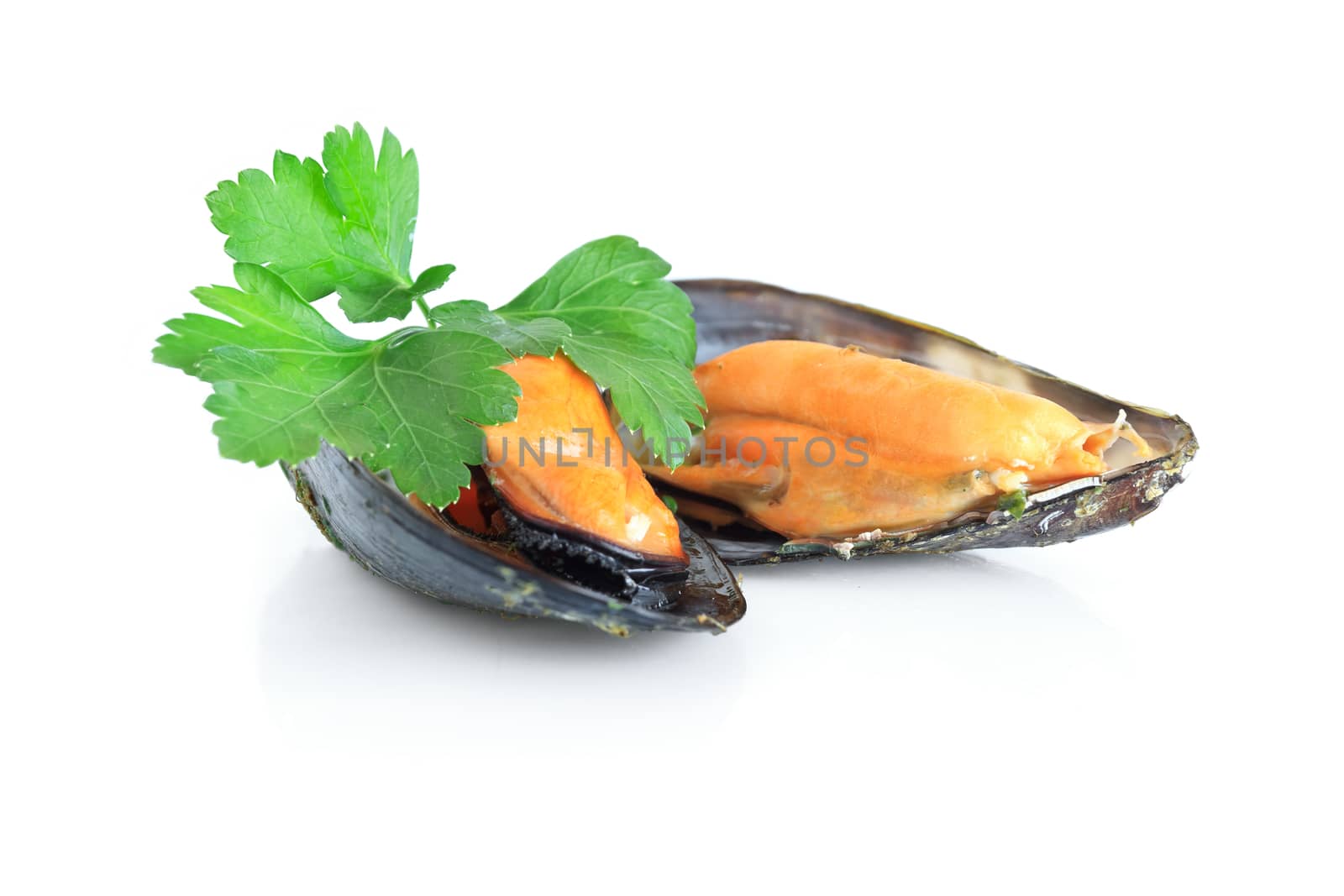 two boiled mussels with parsley isolated over white background