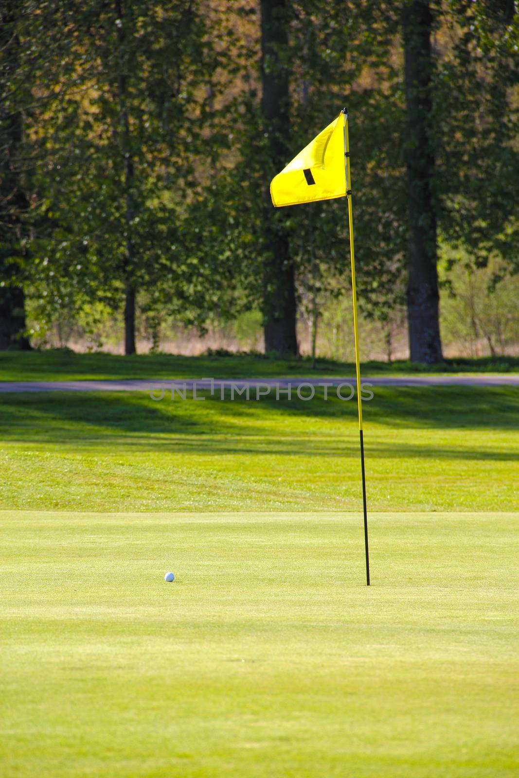 Flag on the golf field and forest on background