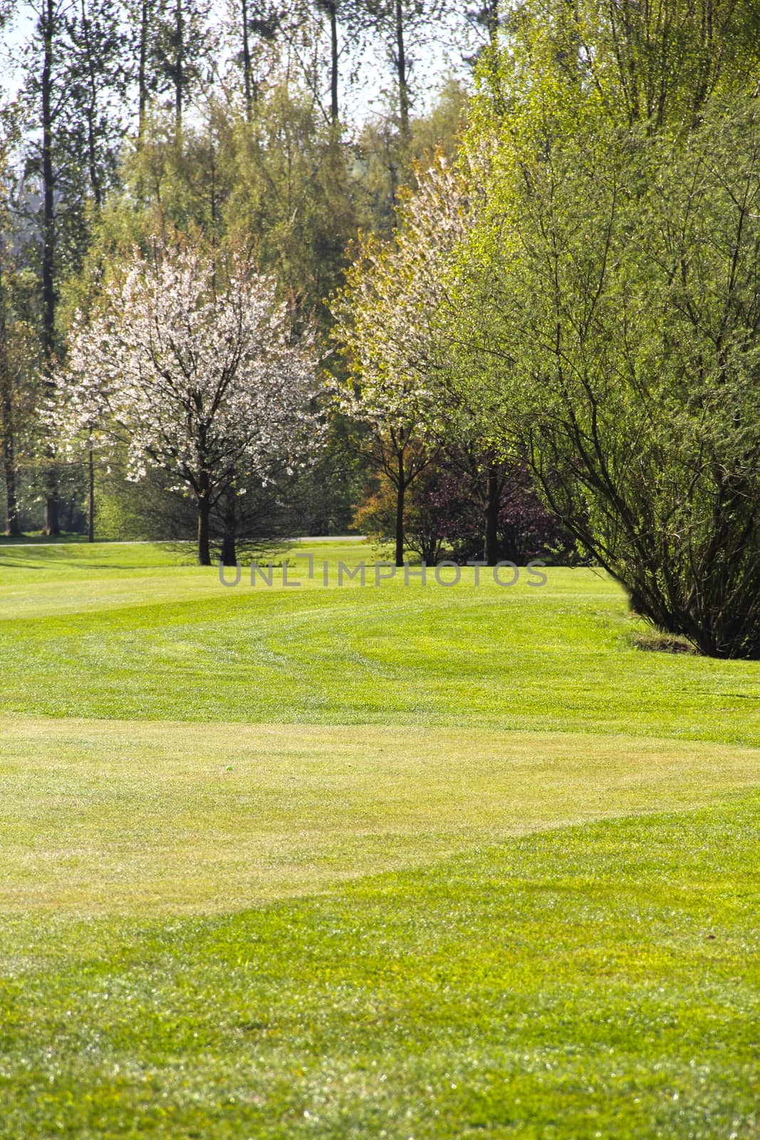 Beautiful spring landscape of golf course in Saint Saens, France