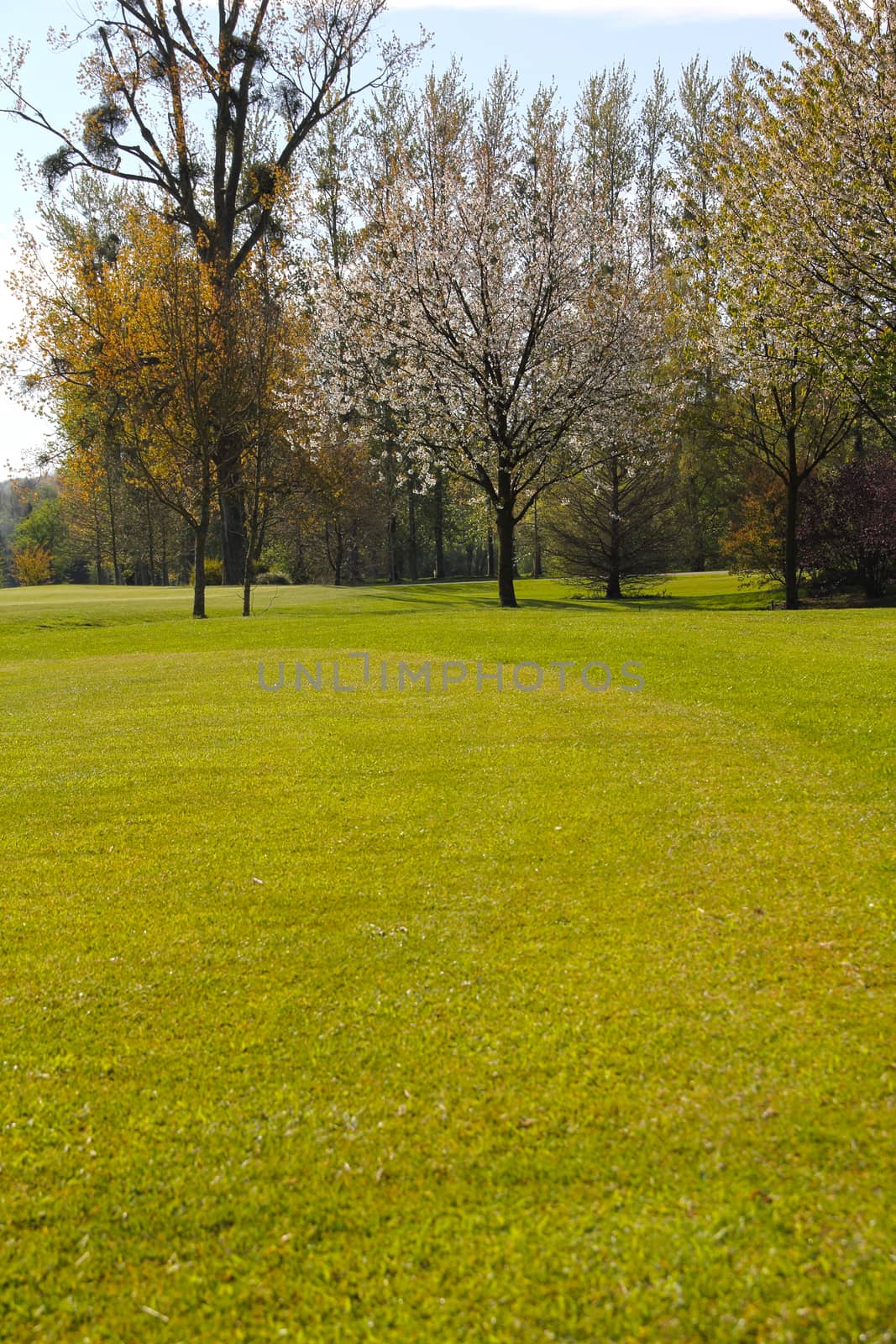 Beautiful spring landscape of golf course in Saint Saens, France