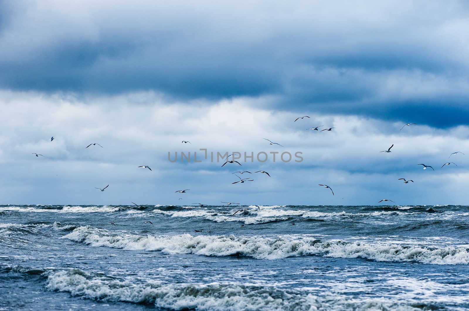 Stormy sea with seagulls in blue sky