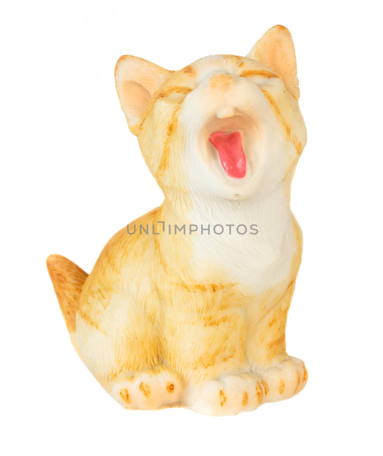 Cat model open mouth, perk up and stick out one's tongue by stockdevil