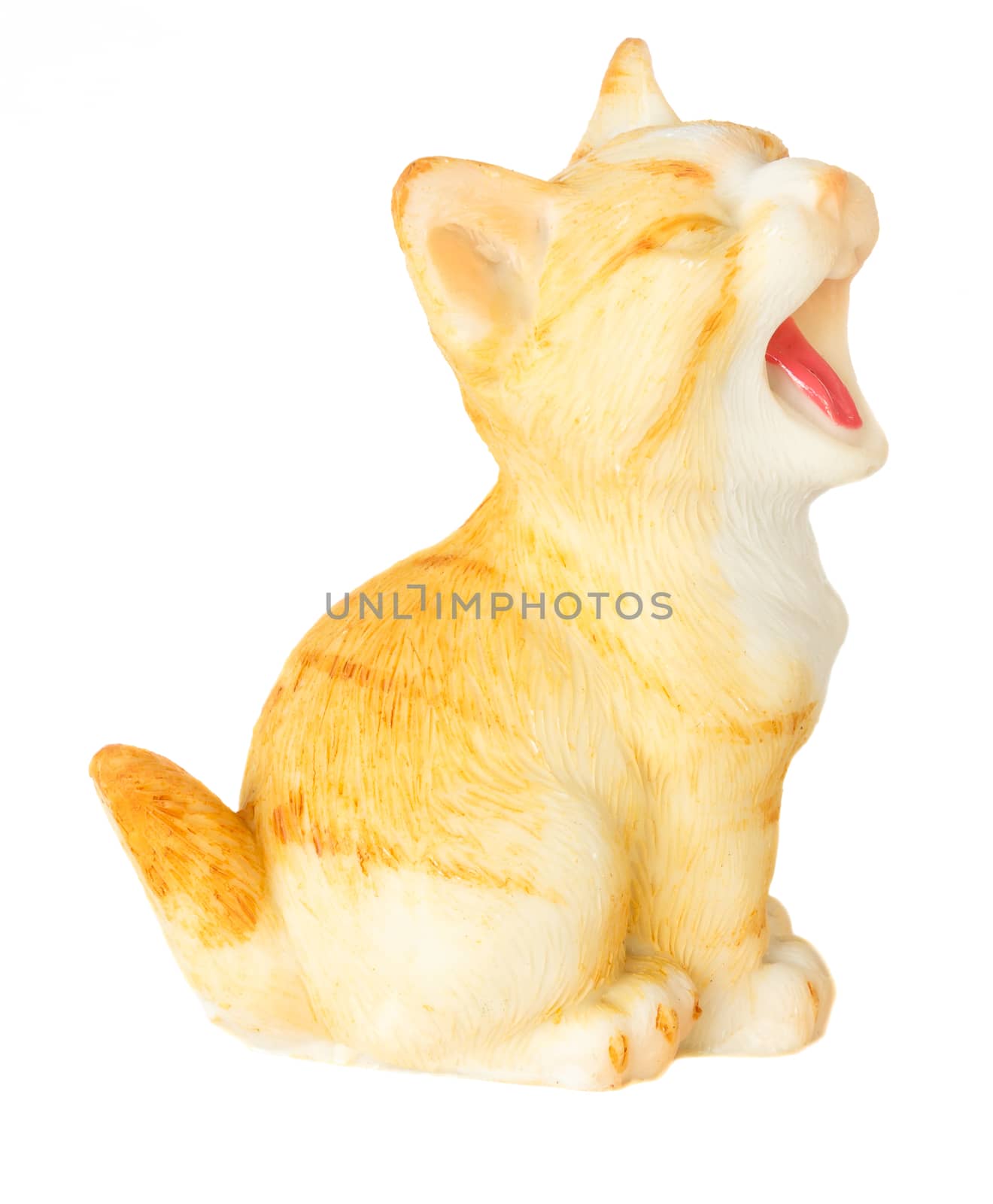 Cat model open mouth, perk up and stick out one's tongue by stockdevil
