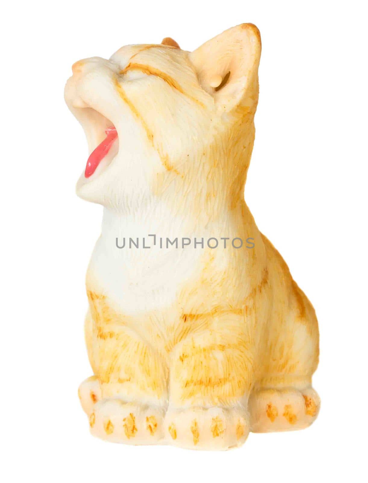 Cat model open mouth, perk up and stick out one's tongue ( isolated )