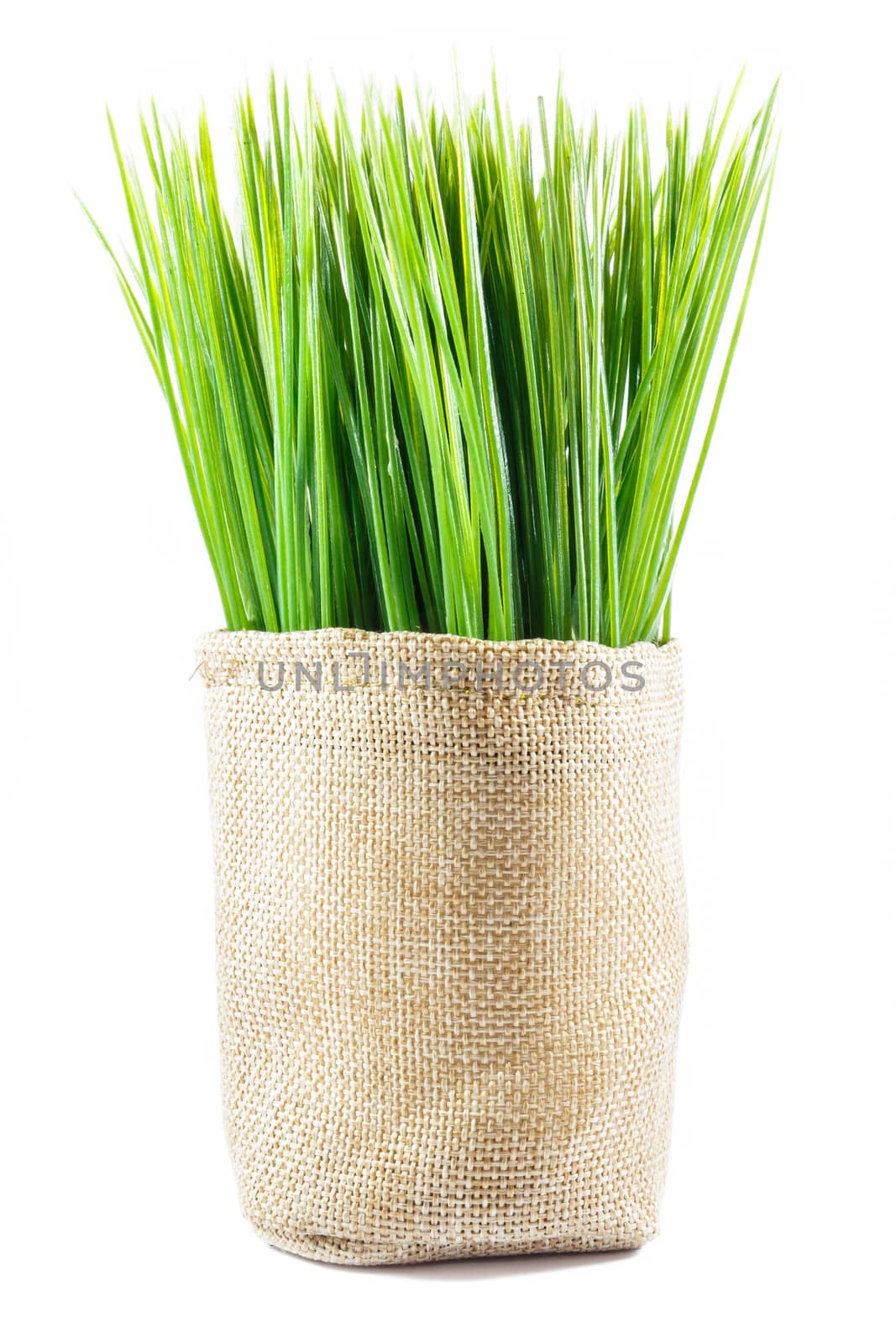 artificial grass in sack on white background (isolated)