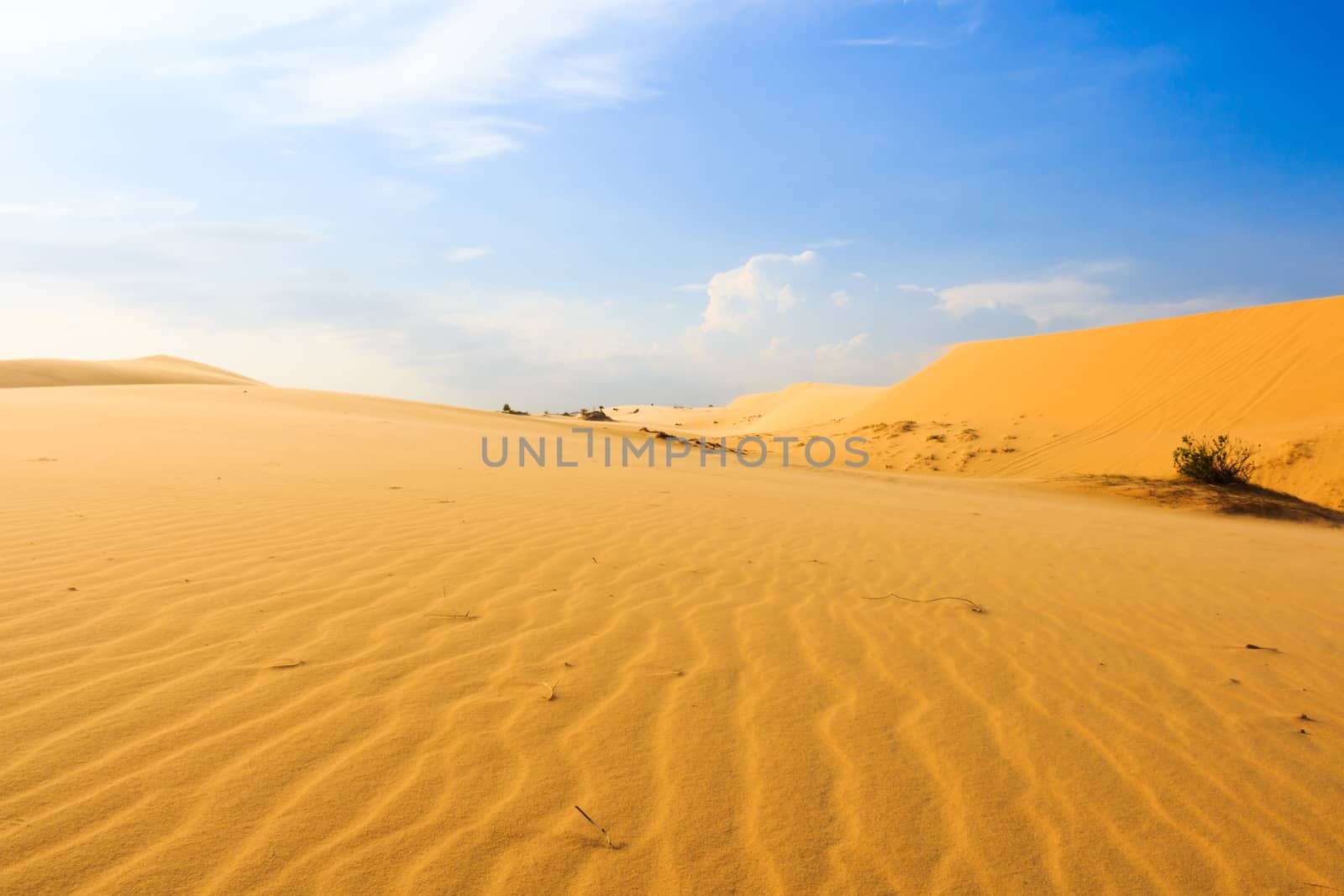 Wave on desert and blue sky at Mui Ne, South Vietnam