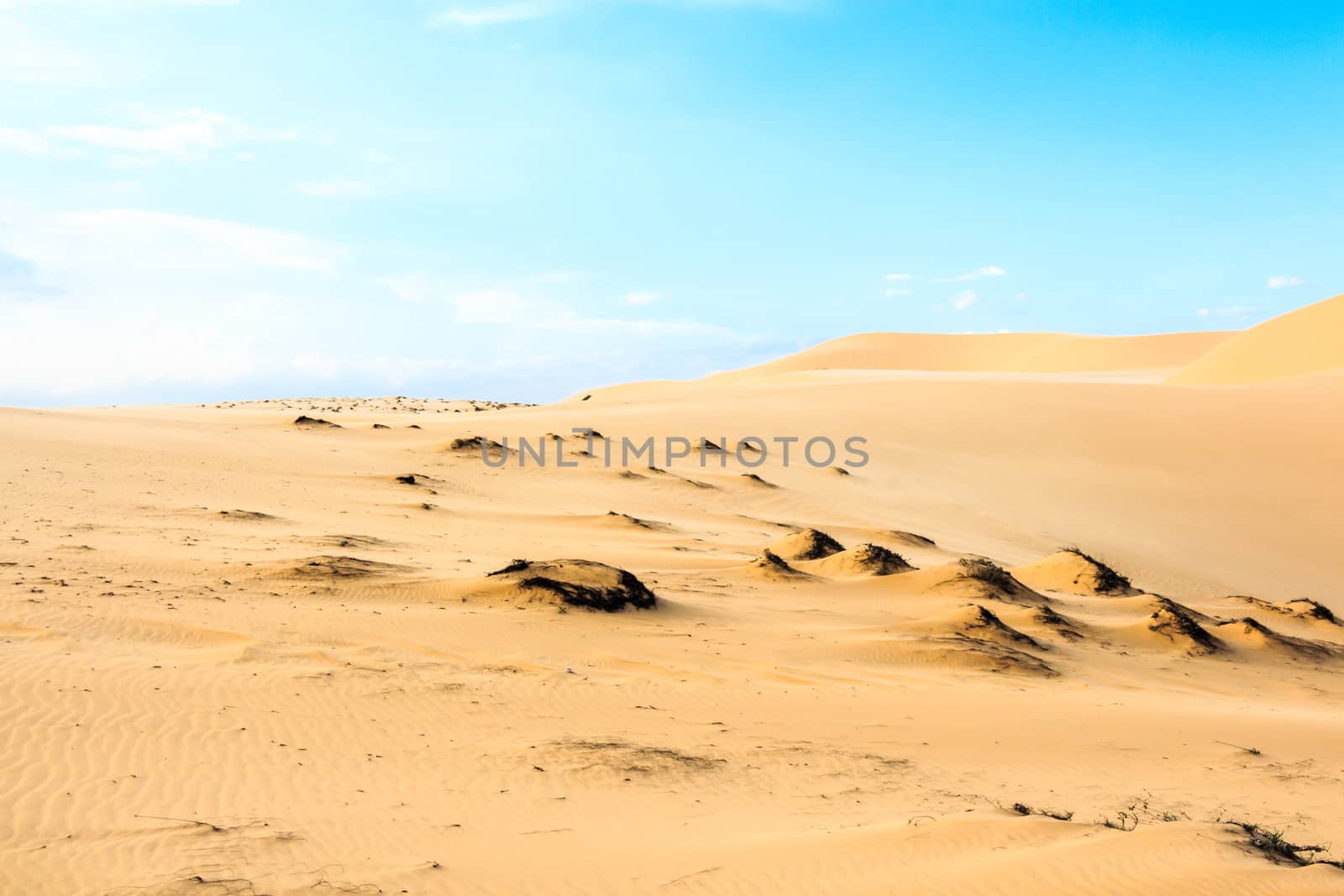 Wave on desert and blue sky (Mui Ne sand dune) at South Vietnam