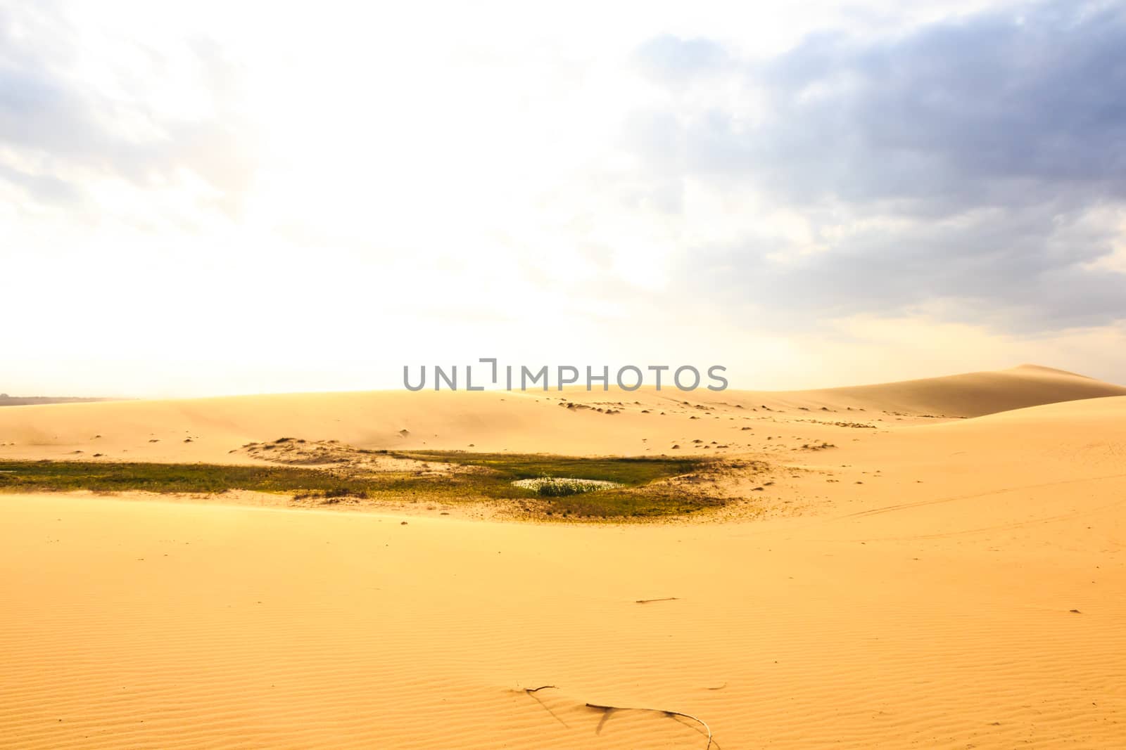 Oasis at central of Mui Ne sand dune ,South Vietnam