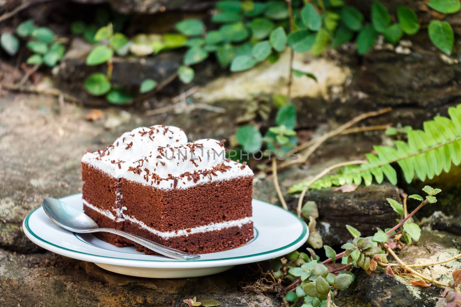 chocolate cakes in garden by stockdevil