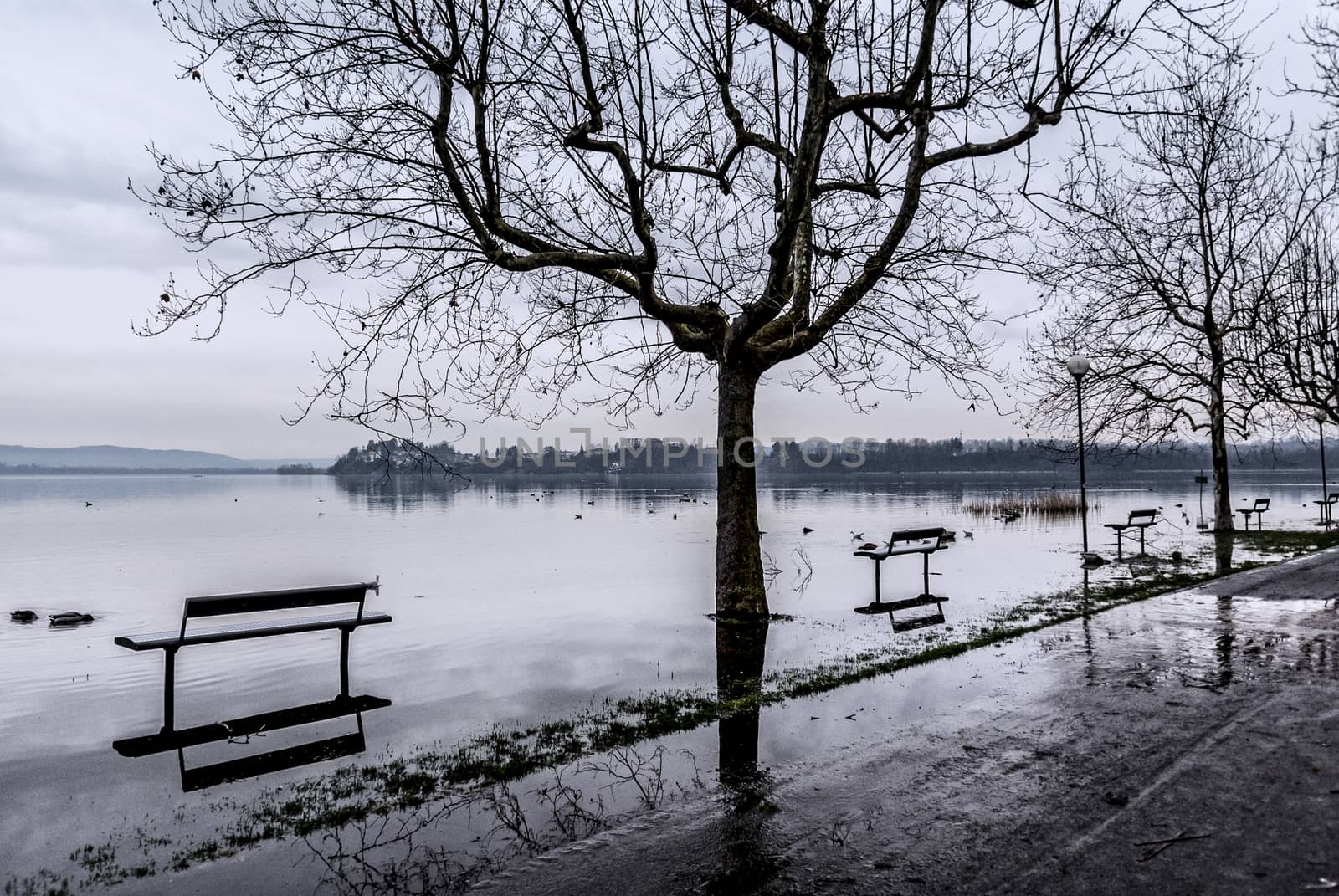 Varese lake, flooding in Gavirate - Lombardy, Italy