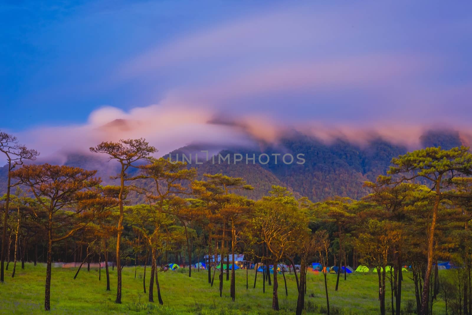 Morning Mist at Tropical Mountain Range