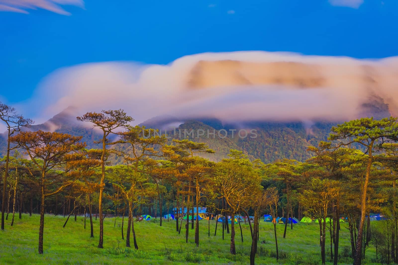 Morning Mist at Tropical Mountain Range