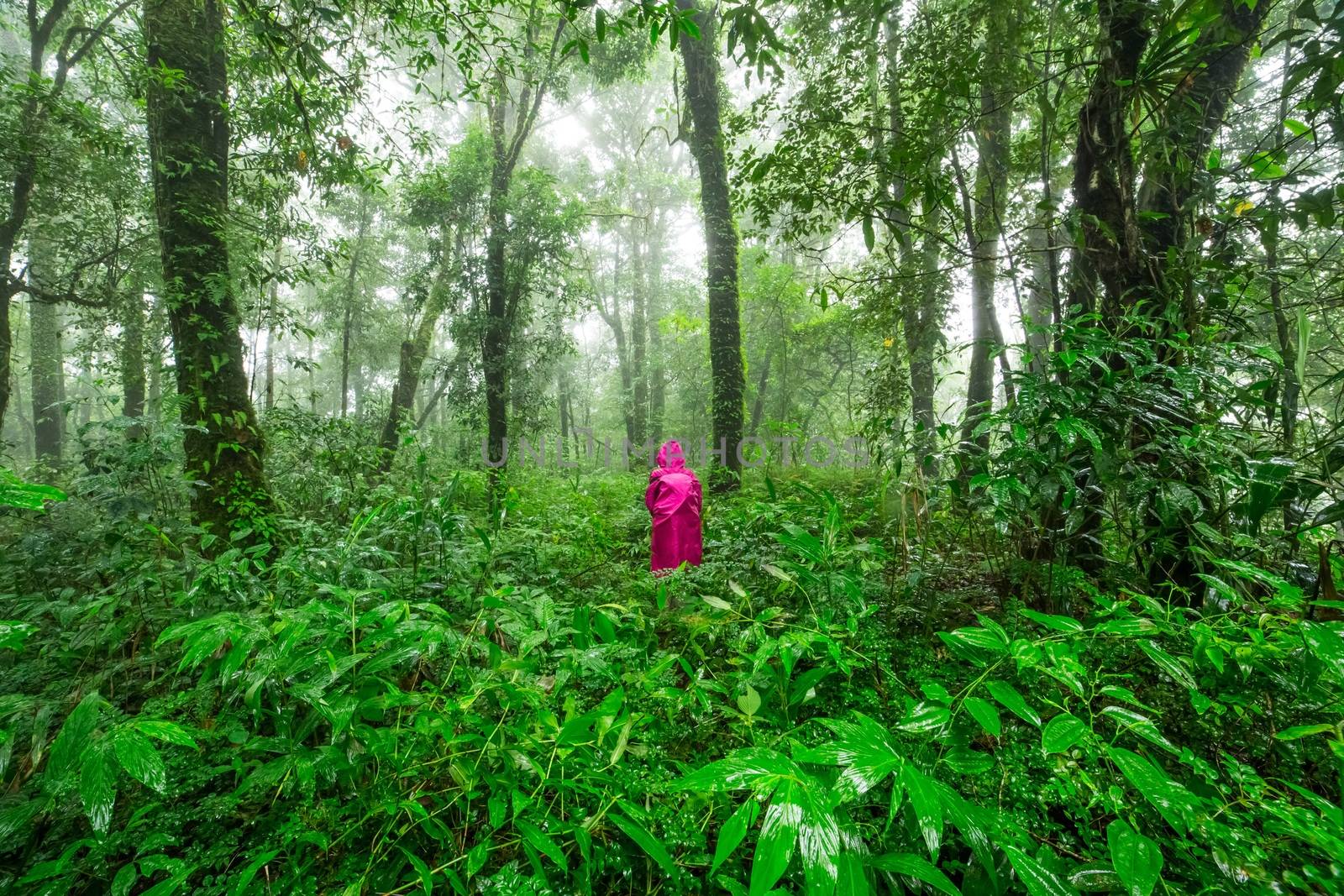 Young woman walk in the Rainforest by Volcanic