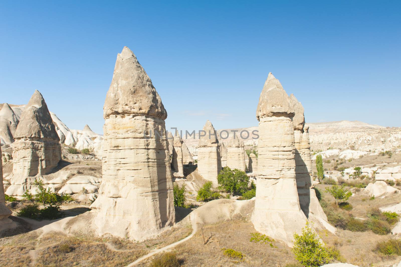 Fairy tale chimneys in Love Valley near Goreme, Cappadocia, Turkey