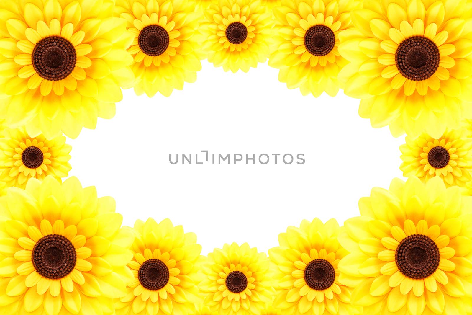 Sunflower frame by stockdevil