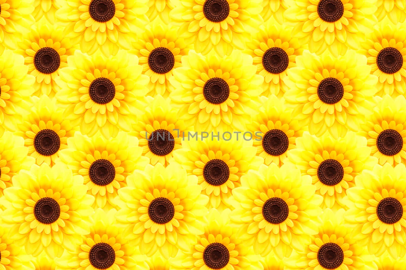 Artificial sunflower background (Helianthus annuus)