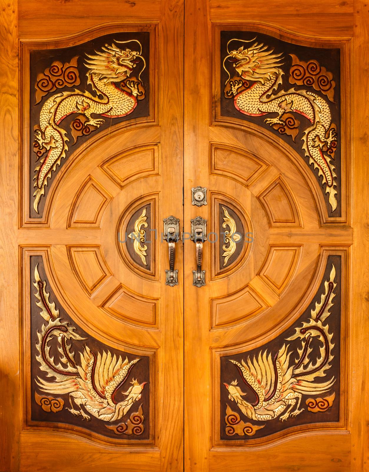 Wood door with dragons and swans design by stockdevil