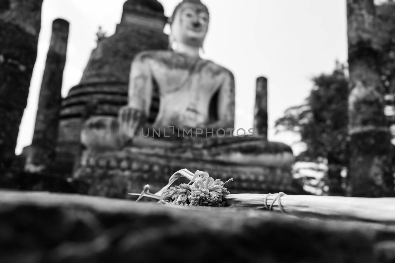 image of Buddha and dry flower in Sukhothai ,Thailand