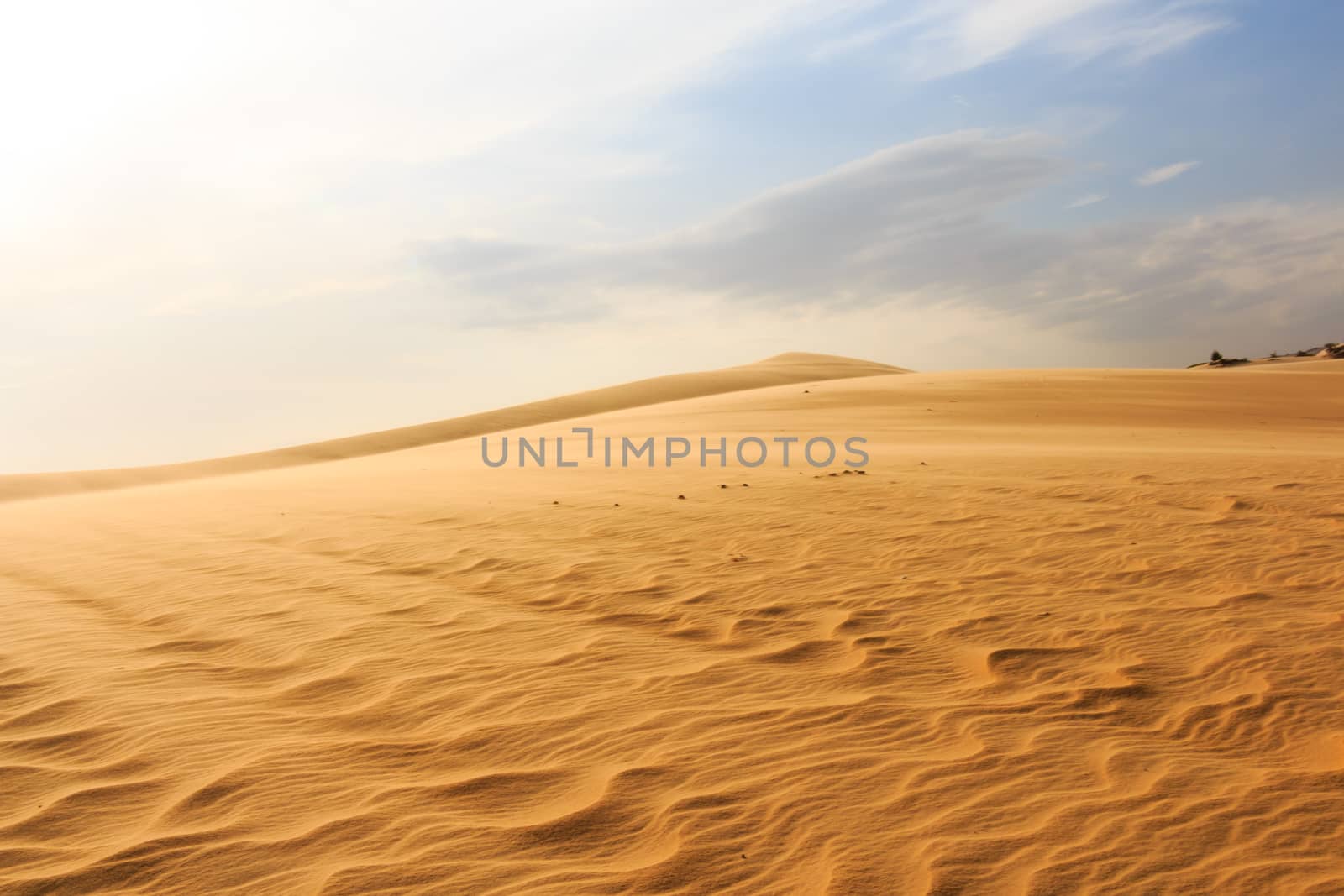 Wave on desert at Mui Ne, South Vietnam